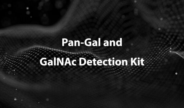 Pan-Gal and GalNAc Detection Kit